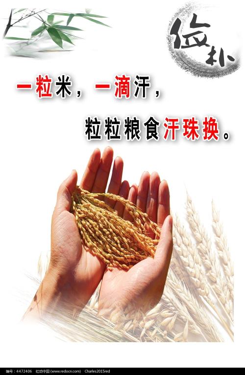 威尔明顿学院证书